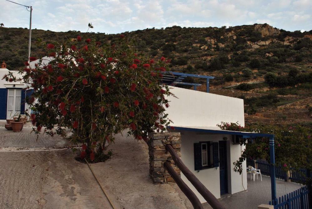 Villa Costa Studios Vathi  Bagian luar foto