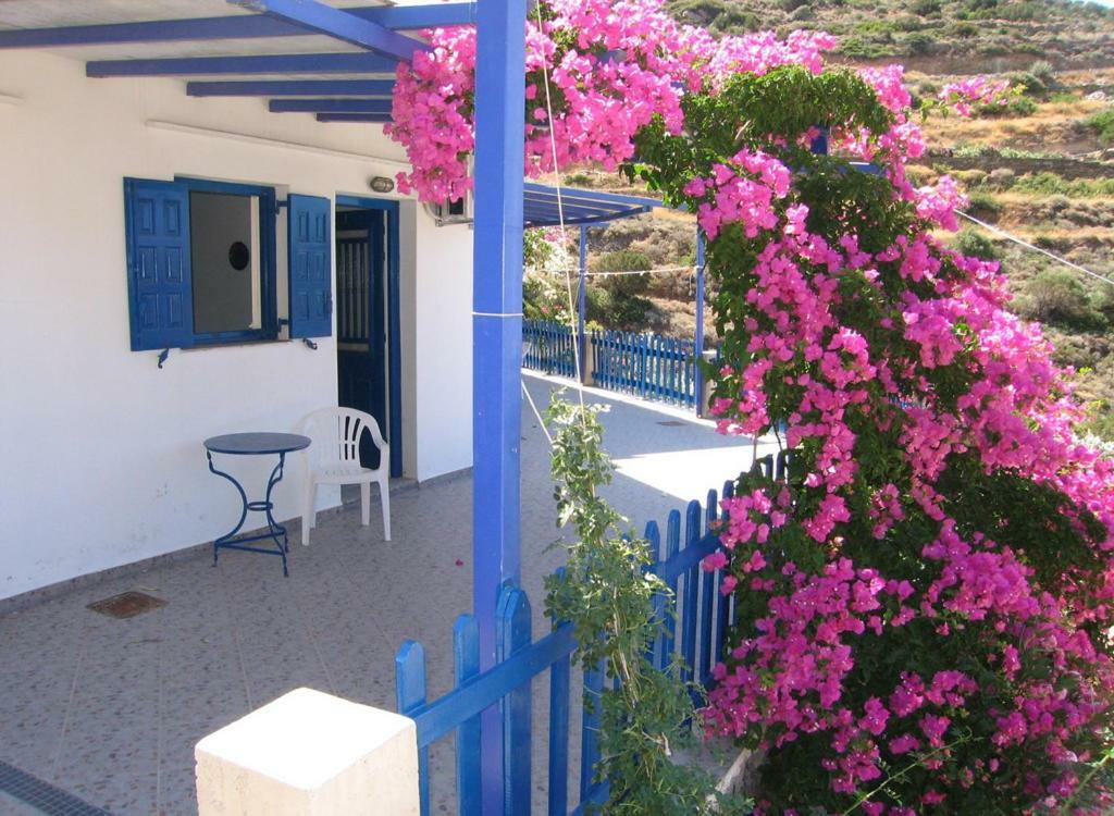 Villa Costa Studios Vathi  Bagian luar foto